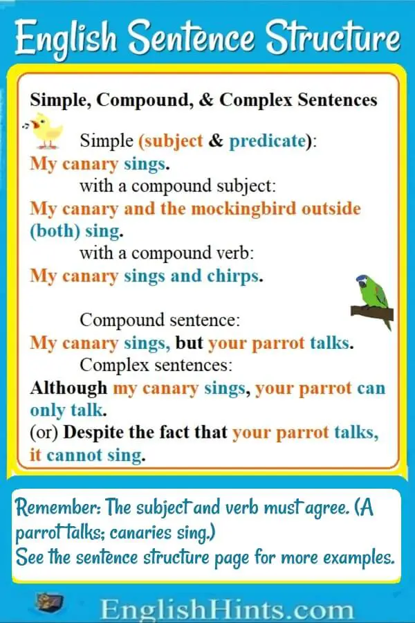 Learn How To Make Sentences In English