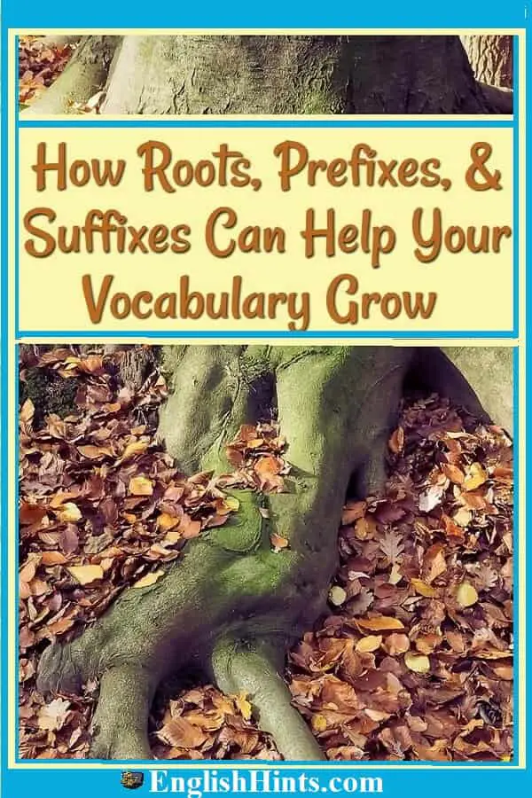 Roots Prefixes And Suffixes To Build Your Vocabulary